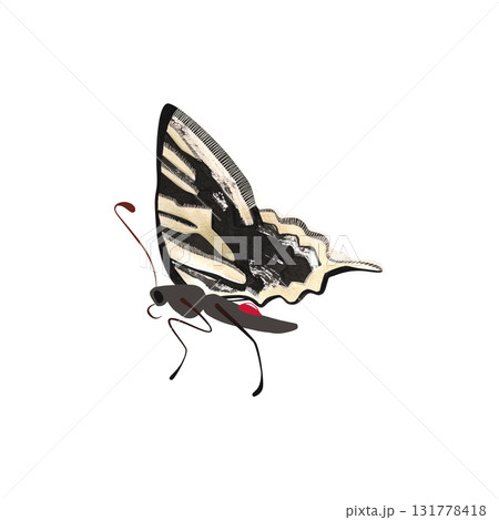 Zebra swallowtail butterfly. Isolated watercolor illustration for graphic design. Sticker, part of image. Clipart. Zebra swallowtail butterfly. Isolated watercolor illustration for graphic design. Sticker, part of image. Clipart. 131778418