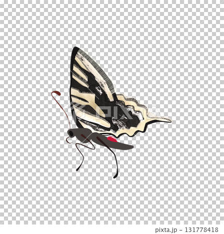 Zebra swallowtail butterfly. Isolated watercolor illustration for graphic design. Sticker, part of image. Clipart. Zebra swallowtail butterfly. Isolated watercolor illustration for graphic design. Sticker, part of image. Clipart. 131778418