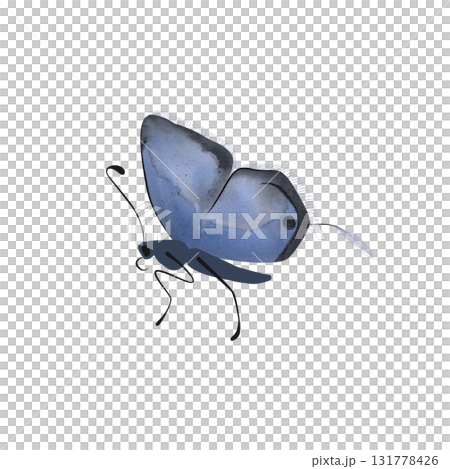 Long tailed Blue butterfly. Isolated watercolor illustration for graphic design. Sticker, part of image. Clipart. Long tailed Blue butterfly. Isolated watercolor illustration for graphic design. Sticker, part of image. Clipart. 131778426