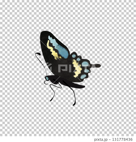 Black swallowtail butterfly. Isolated watercolor illustration for graphic design. Sticker, part of image. Clipart. 131778436