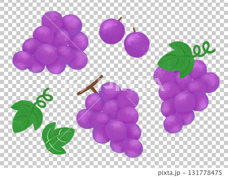 Grape watercolor fruit illustration material set 131778475