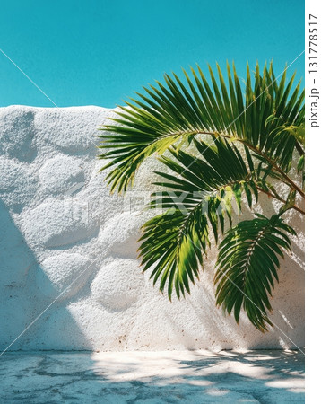 Palm frond casting shadow on textured white wall Palm frond casting shadow on textured white wall 131778517