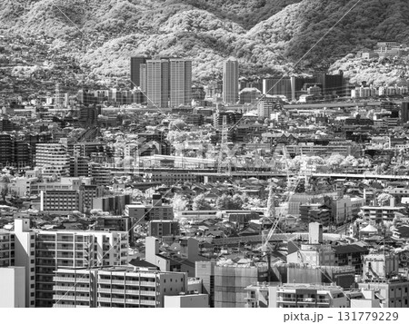【赤外線写真】建物が密集した都市の風景 131779229