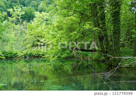 美しいクロアチアのプリトヴィツェ湖群国立公園の風景 美しいクロアチアのプリトヴィツェ湖群国立公園の風景 131779399