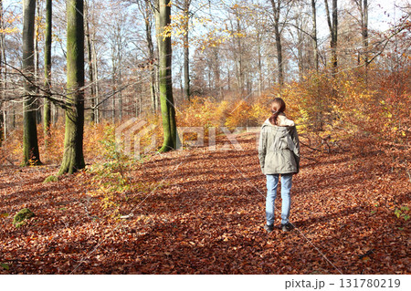 in the forest in the forest 131780219