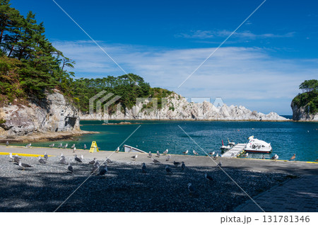 海岸に群れるウミネコ　浄土ヶ浜 131781346