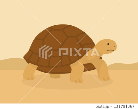 リクガメのイラスト 131781367