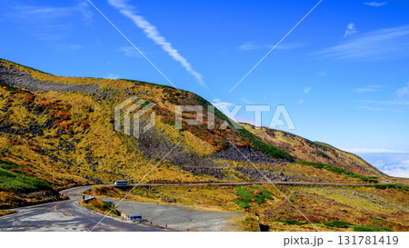 立山黒部アルペンルートを進む立山高原バス 室堂 富山県 立山黒部アルペンルートを進む立山高原バス 室堂 富山県 131781419