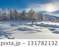 Winter landscape after a big snowfall Winter landscape after a big snowfall 131782132