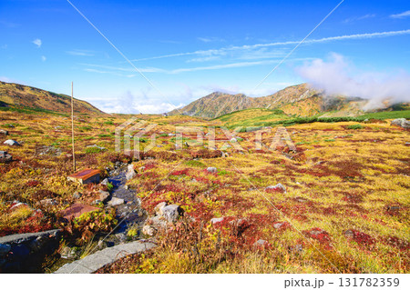 室堂平の絶景 立ち入りが制限されている地獄谷方面 立山黒部アルペンルート 富山県 室堂平の絶景 立ち入りが制限されている地獄谷方面 立山黒部アルペンルート 富山県 131782359