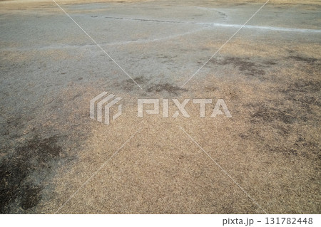 various various 131782448