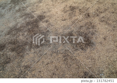 various various 131782451