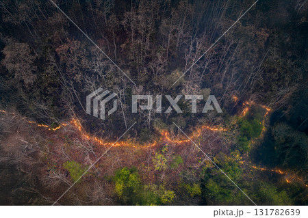 Forest fires release carbon dioxide and other greenhouse gasses, such as methane into the atmosphere. Carbon emissions come from deforestation. Forest fires release carbon dioxide and other greenhouse gasses, such as methane into the atmosphere. Carbon emissions come from deforestation. 131782639