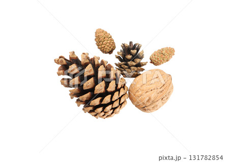 Natural elements boost Christmas cheer, on white, PNG 131782854