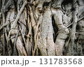 tree trunk in the form of a tree 131783568