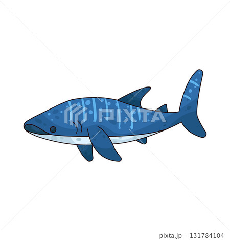 illustration of Whale Shark illustration of Whale Shark 131784104