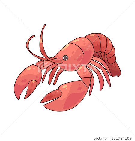 illustration of Lobster illustration of Lobster 131784105