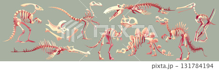 Cartoon dinosaur skeleton fossil collection Cartoon dinosaur skeleton fossil collection 131784194