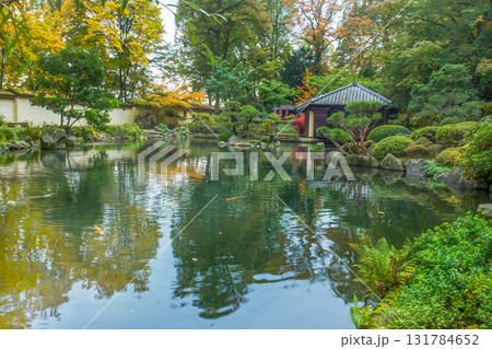 Autumn leaf color and Momiji (Momiji-gari) of red leaves in Japanese garden and KOI carps in water of pond Autumn leaf color and Momiji (Momiji-gari) of red leaves in Japanese garden and KOI carps in water of pond 131784652