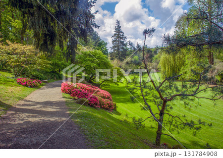 Awe forest in Pays de La Loire Awe forest in Pays de La Loire 131784908