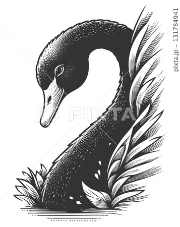 Black Swan Symbolizing Rare Unpredictable Events 131784941