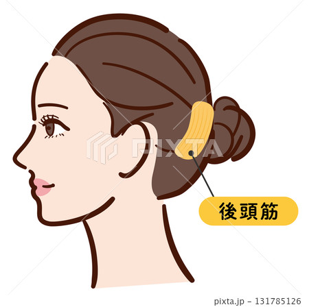 若い女性の横顔　後頭筋の図解イラスト（名称入り） 131785126
