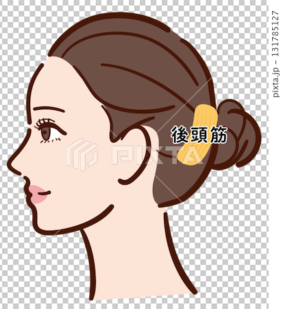 年輕女子的側面：枕骨肌肉的圖示（含名稱） 131785127