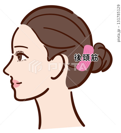 若い女性の横顔　後頭筋の図解イラスト（名称入り） 131785129