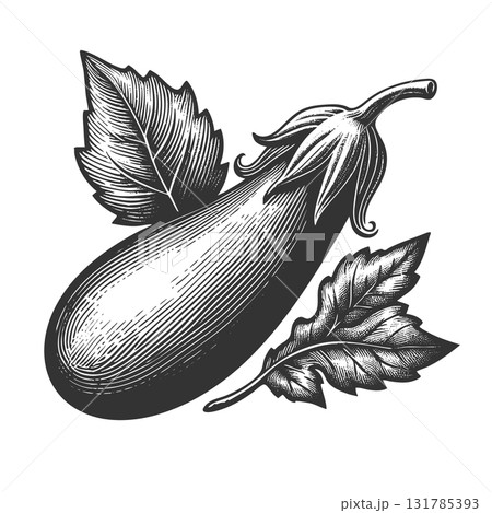 eggplant vegetable engraving raster illustration 131785393