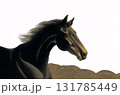 馬 131785449