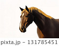 馬 131785451