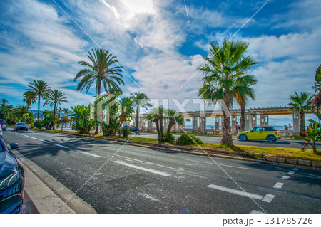 Idyllic Promenade des Anglais, gardening with palm trees -palm alley Idyllic Promenade des Anglais, gardening with palm trees -palm alley 131785726