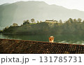 Island Comacino with church on lake como in late Autumn Island Comacino with church on lake como in late Autumn 131785731