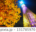 ライトアップされたスカイツリー 131785970