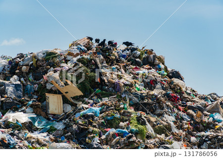 A large mountain of garbage fills the landfill, illustrating the severe waste issue affecting the environment as black birds gather nearby A large mountain of garbage fills the landfill, illustrating the severe waste issue affecting the environment as black birds gather nearby 131786056
