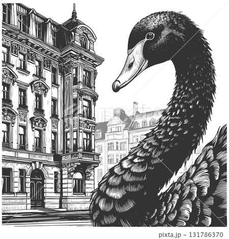 Giant Black Swan Among City Buildings vector 131786370