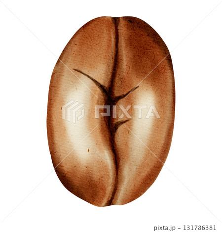 Watercolor illustration of coffee beans. Coffee bean set. A set of watercolor illustrations for coffee shops, cafes, packaging, menus, and product design. 131786381