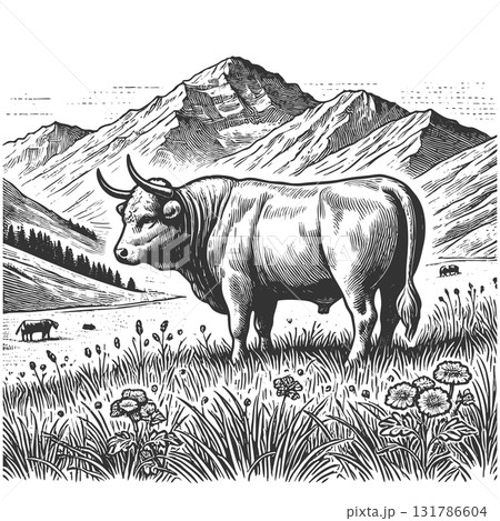 Grazing Bull Mountain Landscape engraving vector 131786604