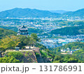 洲本市市街地の空撮　洲本城と洲本市南方面 131786991