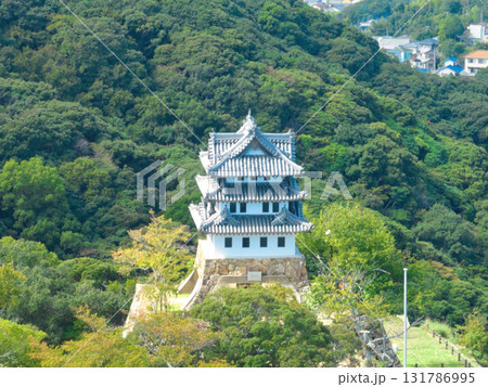 洲本市市街地の空撮　洲本城南東から 131786995