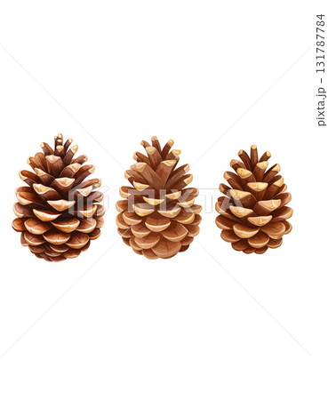 Brown pine cone isolated on white background Brown pine cone isolated on white background 131787784
