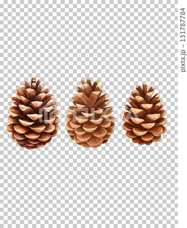 Brown pine cone isolated on white background Brown pine cone isolated on white background 131787784