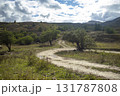 Beautiful summer mountain rural landscape. Panorama of summer green field with dirt road and Sunset cloudy sky. Trekking tourists, camping ground. 131787808