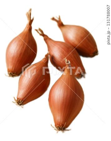 エシャロット 131788007