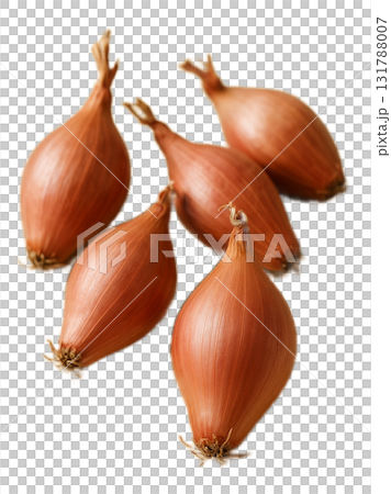 青蔥 青蔥 131788007