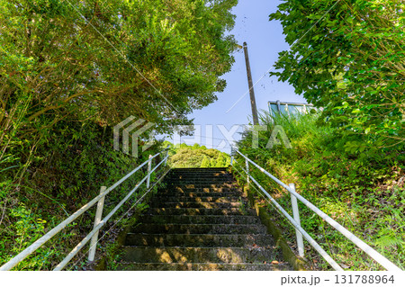 新緑に包まれた階段 131788964