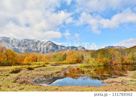 紅葉の長野県栄村秋山郷天池 紅葉の長野県栄村秋山郷天池 131789302