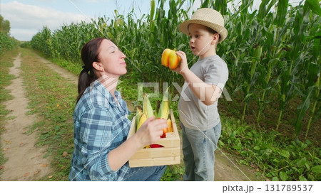 Harvesting Fresh Produce Together with Mom and Son during their Day on a Beautiful Farm Harvesting Fresh Produce Together with Mom and Son during their Day on a Beautiful Farm 131789537