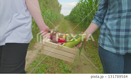 Together in the field, we joyfully harvest fresh vegetables, creating memories and connections Together in the field, we joyfully harvest fresh vegetables, creating memories and connections 131789584