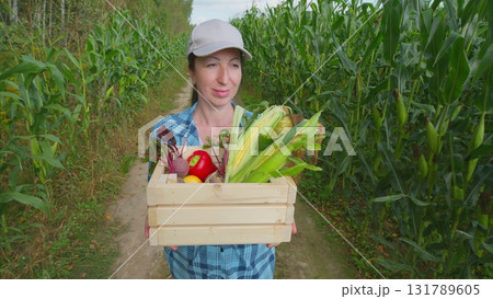 Harvesting fresh produce in a vibrant cornfield under a beautiful sunny day filled with light Harvesting fresh produce in a vibrant cornfield under a beautiful sunny day filled with light 131789605